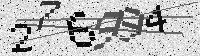 Security code image