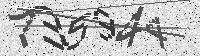 Security code image